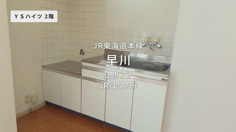 動画