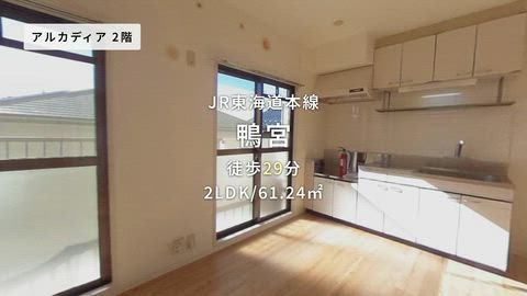 動画