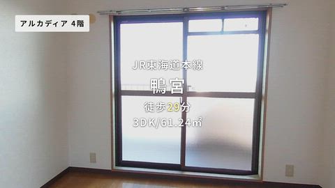 動画