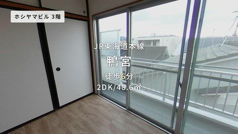 動画