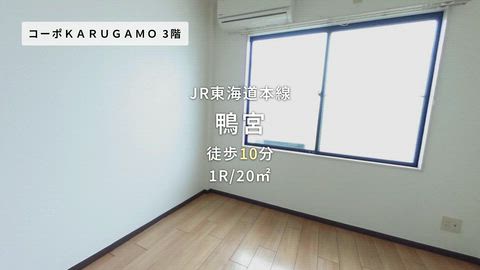 動画