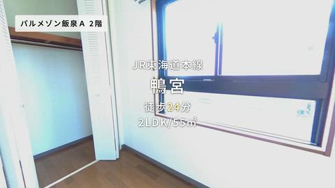 動画