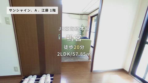 動画