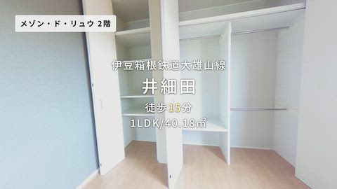 動画