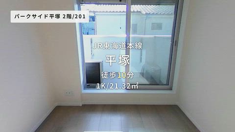 動画