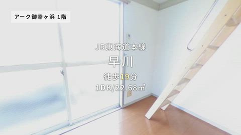 動画