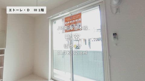 動画