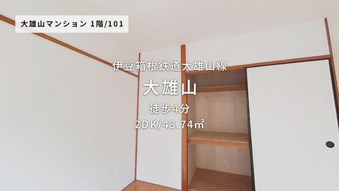 動画