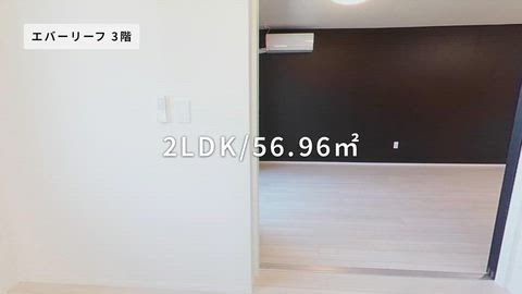 紹介ムービー