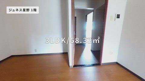 紹介ムービー