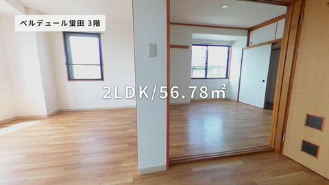 動画