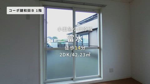 動画