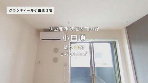 紹介ムービー