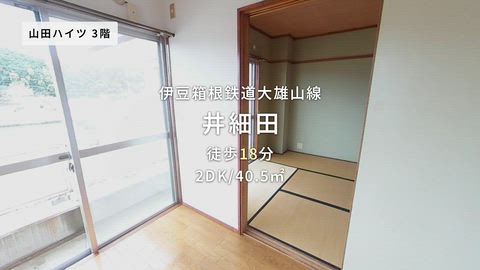 紹介ムービー
