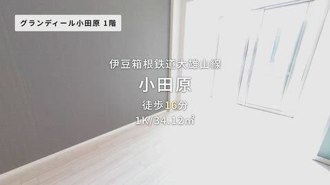 紹介ムービー