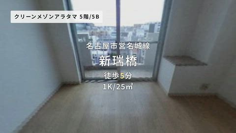 動画