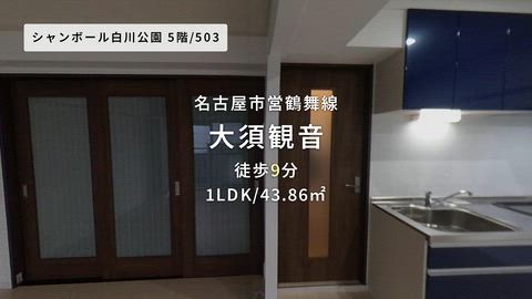 動画
