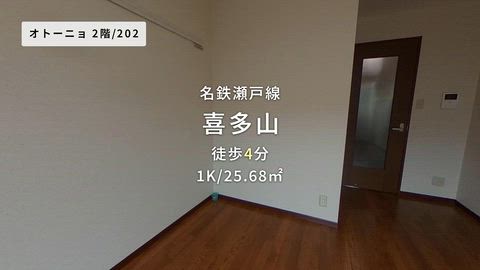 動画