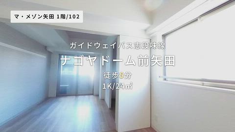 動画