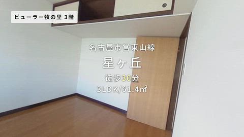 紹介ムービー