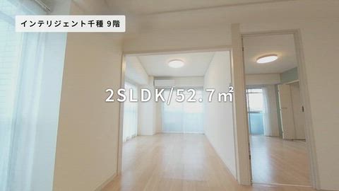 紹介ムービー