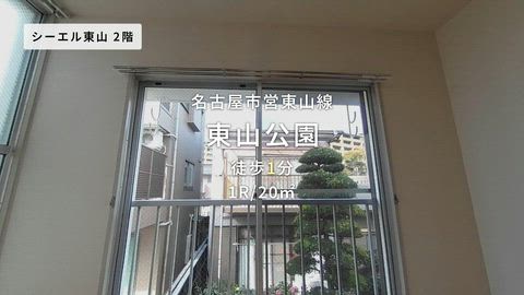 紹介ムービー