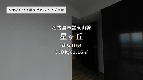 紹介ムービー