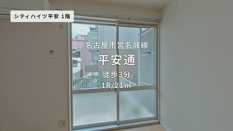 動画