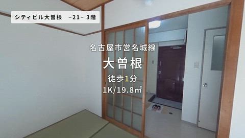 動画