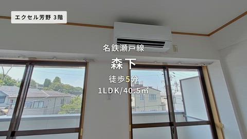 動画