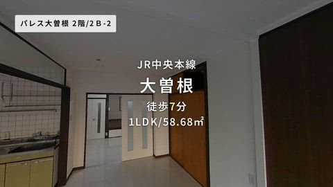 紹介ムービー