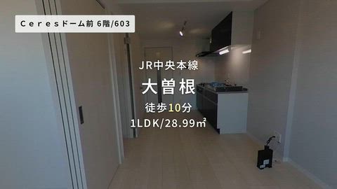 紹介ムービー
