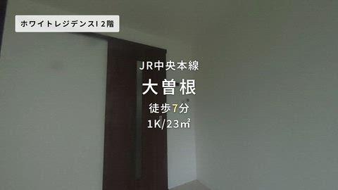 紹介ムービー