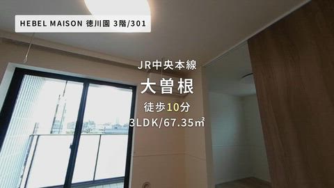 紹介ムービー