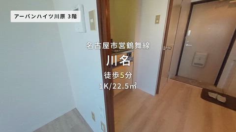 動画