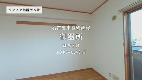動画