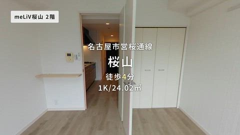 動画