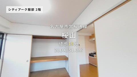 動画