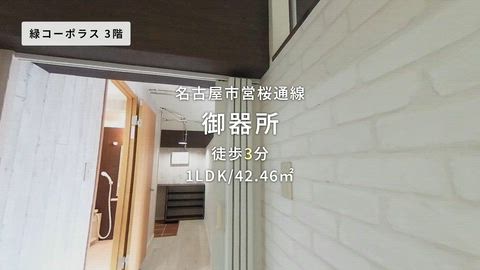 動画
