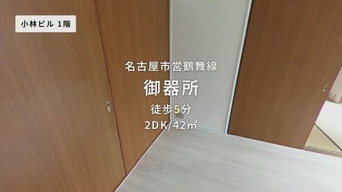 動画
