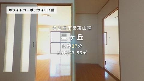紹介ムービー