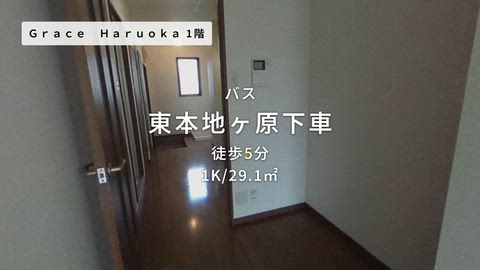 動画
