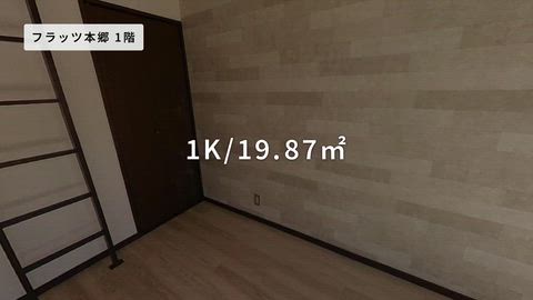 動画