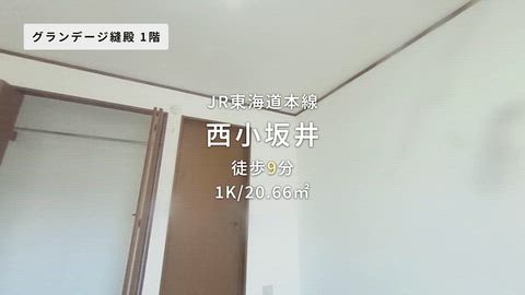 紹介ムービー