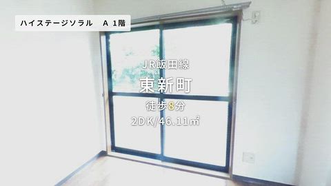 動画