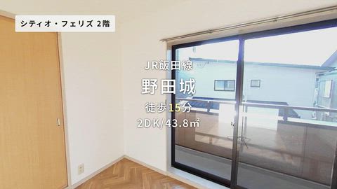 動画