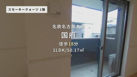 動画