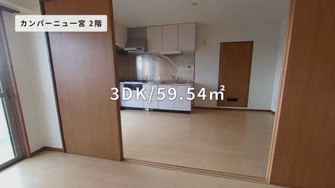 紹介ムービー
