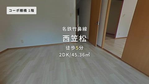 動画