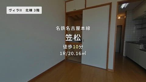 動画
